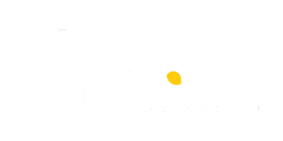 Copernicus Logo